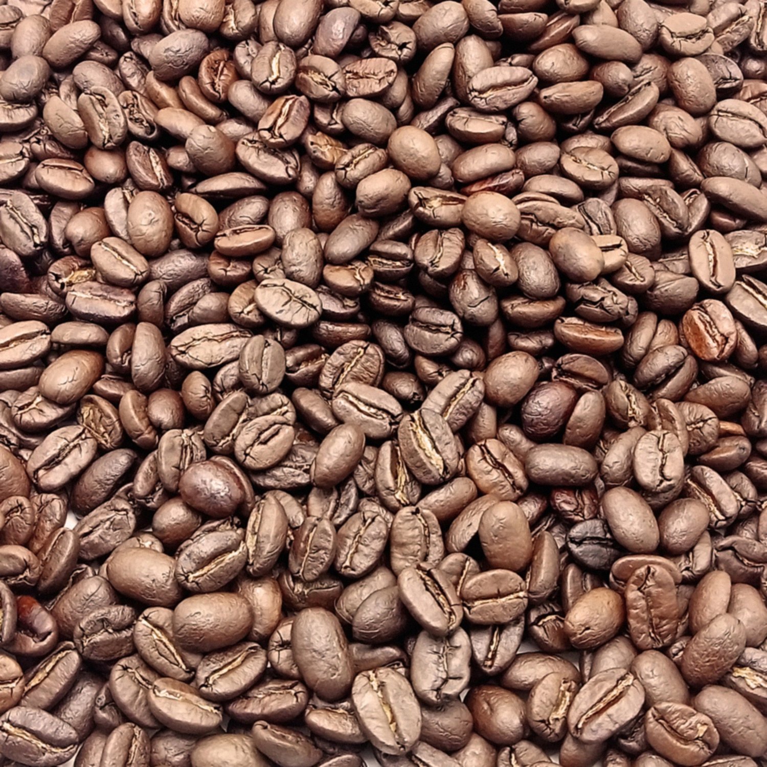 Especialidad en Grano 15kg – Cafe Aromas del Paraiso Veracruz