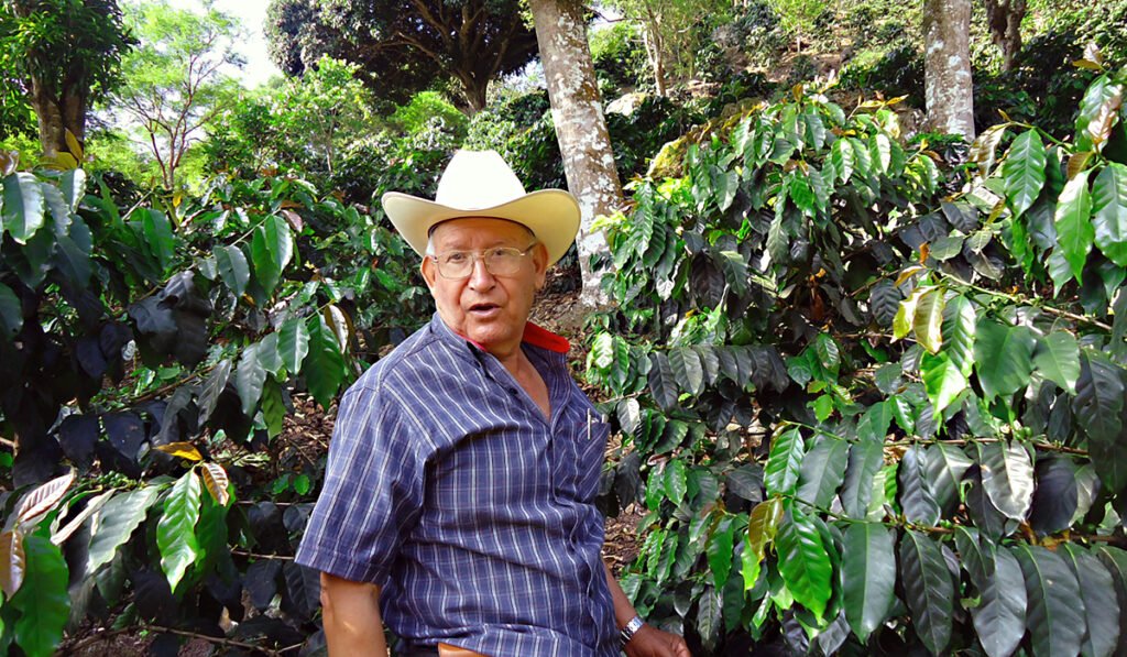 productor de cafe aromas del paraiso